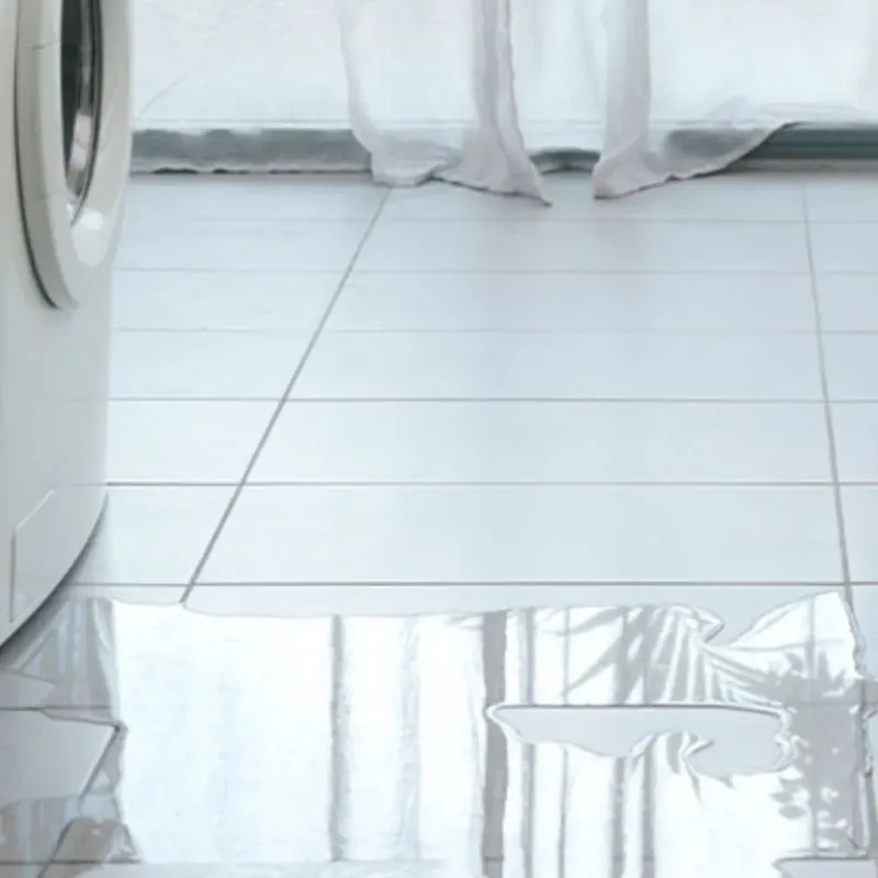 Appliance Leak Cleanup in Dundee, MI
