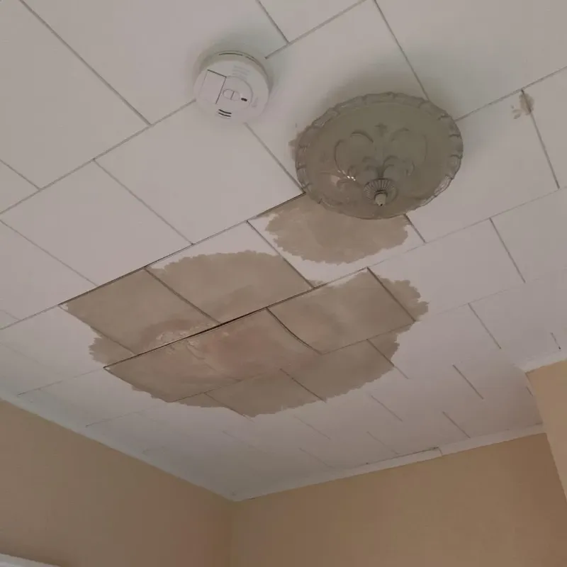 Ceiling Water Damage Repair in Dundee, MI