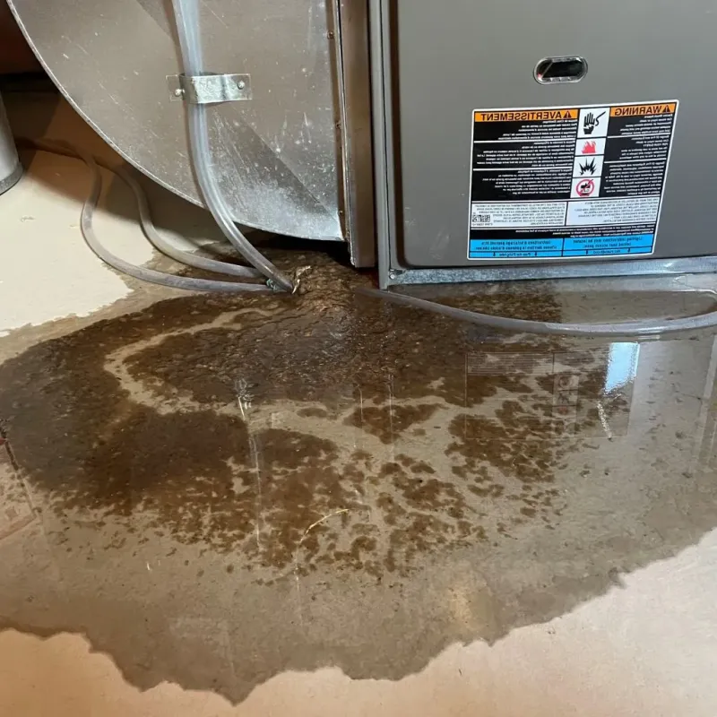 Pipe Burst and Leak Restoration in Dundee, MI