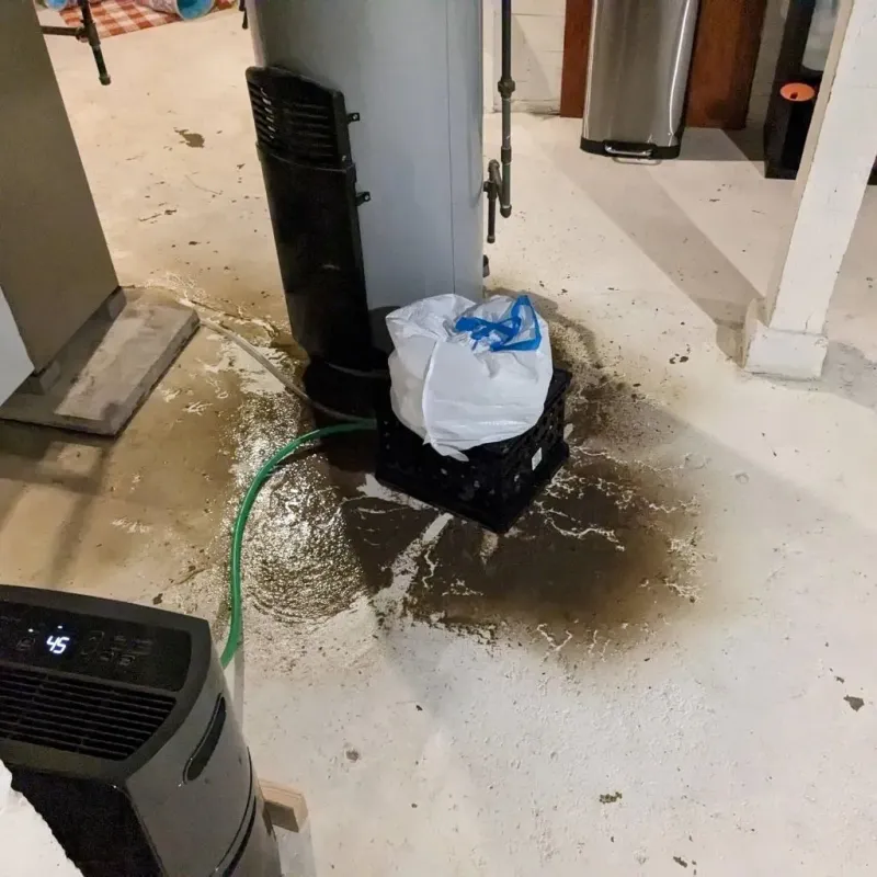 Sewage Backup Cleanup Service in Dundee, MI